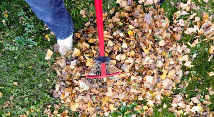 Tips for fall exterior clean up