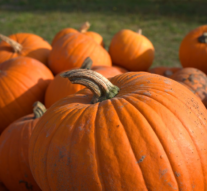 This year’s Halloween tricks and treats: At Drury and in the community