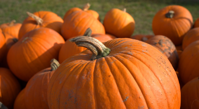 This year’s Halloween tricks and treats: At Drury and in the community