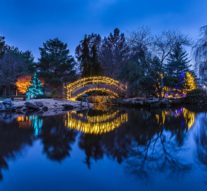 Gardens Aglow: Japanese Stroll Gardens’ lights display