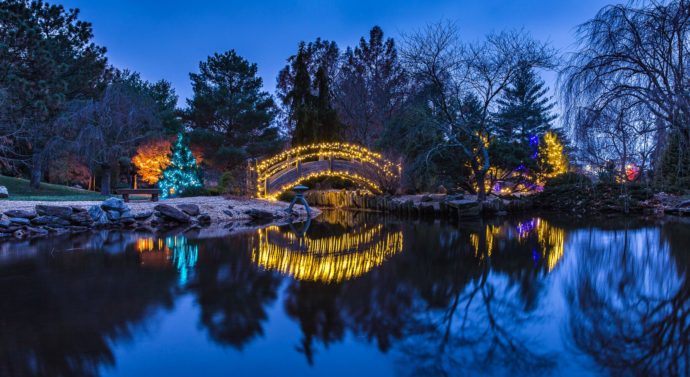 Gardens Aglow: Japanese Stroll Gardens’ lights display