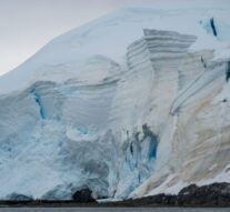 Exhibit review: international photography in PAC 