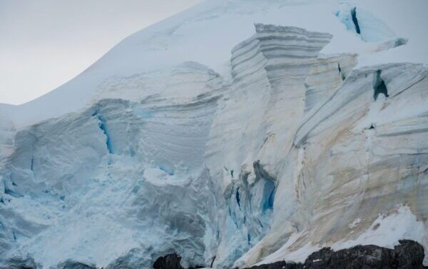 Exhibit review: international photography in PAC 